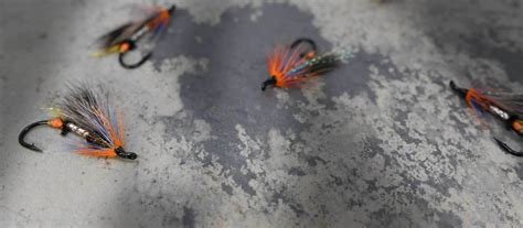 Salmon Flies Canada