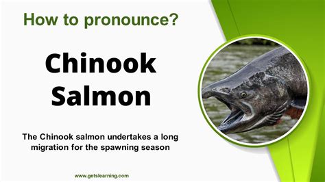 salmon how to pronounce