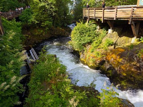 Salmon Ladder Observation Platform