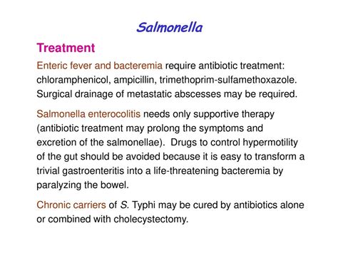 salmonella infection treatment