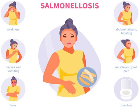 salmonella typhi symptoms