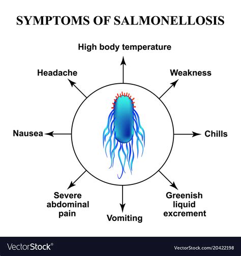 salmonella typhimurium symptoms