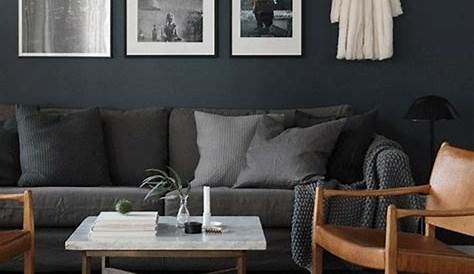 idee deco salon gris fonce Idée de déco