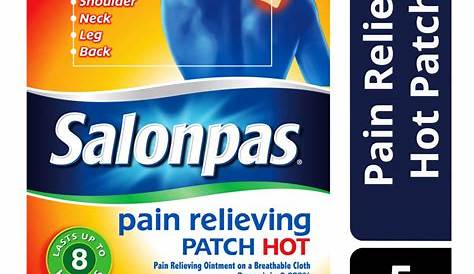 Salonpas Hot Ingredients SALONPASHOT CAPSICUM (patch) Hisamitsu Pharmaceutical Co