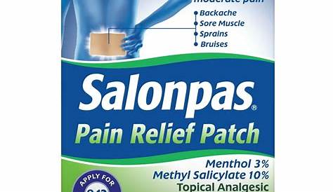 Salonpas Pain Relief Patch, 12Hour Mild to Moderate Pain