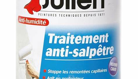 Salpetre Traitement TRAITEMENT ANTISALPÊTRE MURS HUMIDES 2.5 Litres Achat