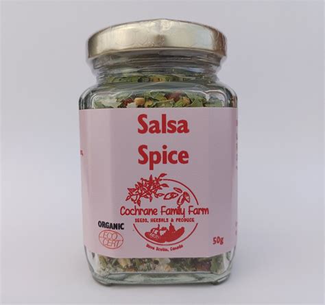 salsa and spice 4
