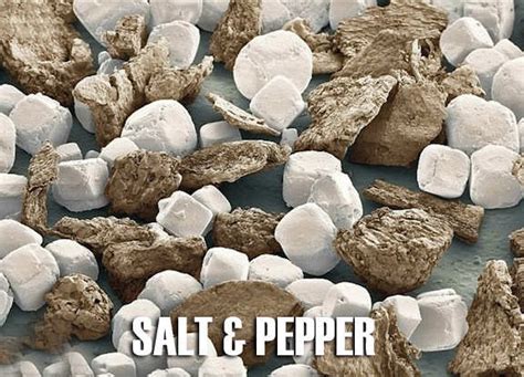 Salt And Pepper Under A Microscope