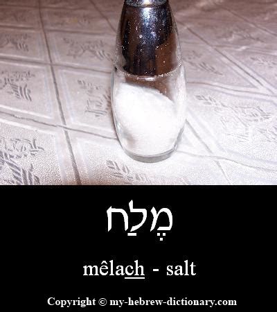 salt in hebrew meaning