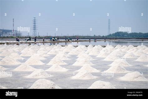 salt industrial