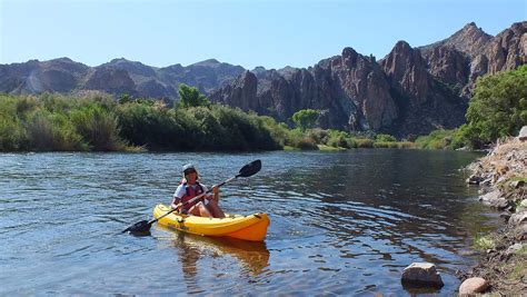Discover Unforgettable Adventures: Exploring Salt River's Hidden Gems with Kayaking