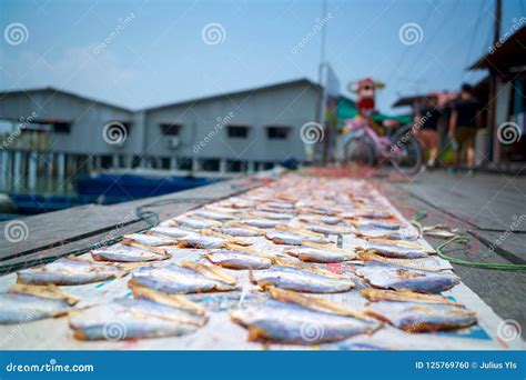 Salted Fish Process