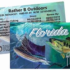 Saltwater Fishing License