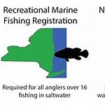 Saltwater Fishing License in NY