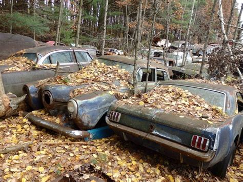 salvage mustang parts from junkyards