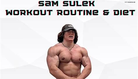 Sam Sulek Workout Plan Pdf