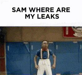 sam leaks leaks