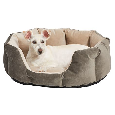 Same Day Delivery Dog Beds