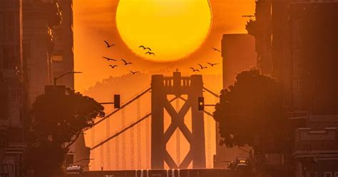 Basking in the Same Sun San Francisco Enjoys Worldwide