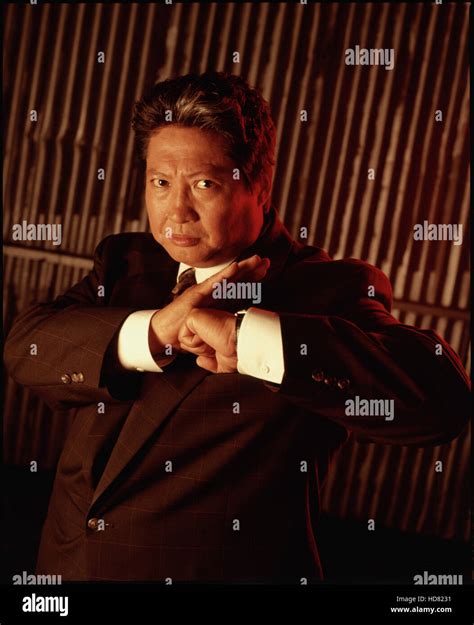 sammo hung martial law where to watch