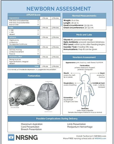 Newborn Care Skills Clinical notes and observation