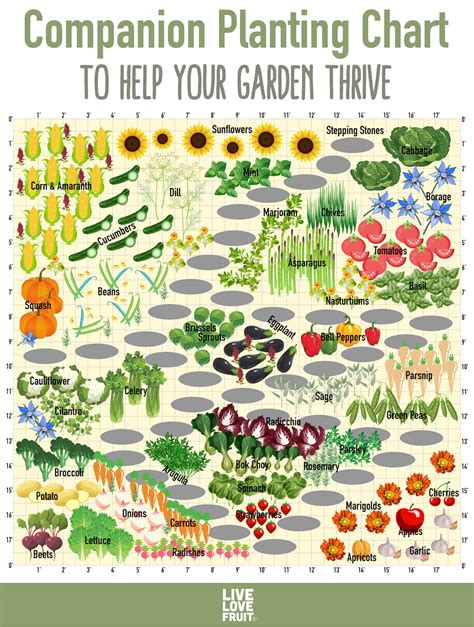 Free Download A Printable Companion Planting Chart Food Gardening