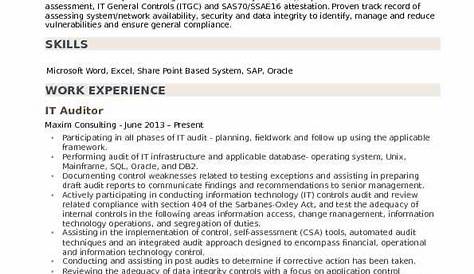 Professional Cv For Auditor : Audit Consultant Resume Sample Mintresume