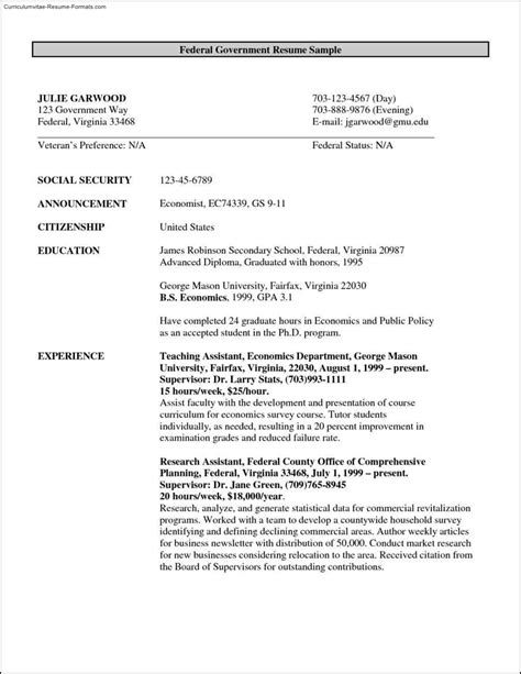 sample curriculum vitae for government jobs