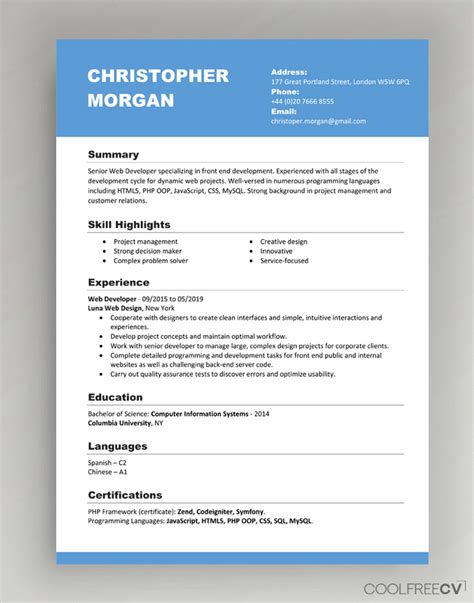 sample format of cv in word