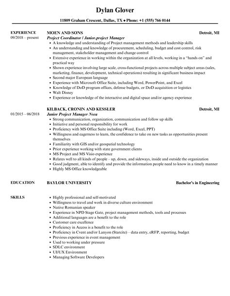 sample junior project manager resume