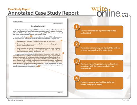 sample of case study report