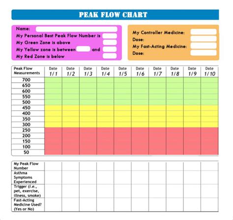 FREE 6+ Sample Peak Flow Chart Templates in PDF MS Word