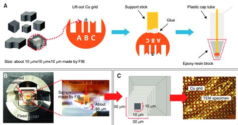 sample preparation for tem analysis