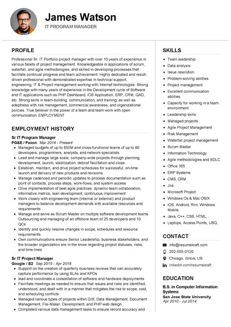 sample program manager cv