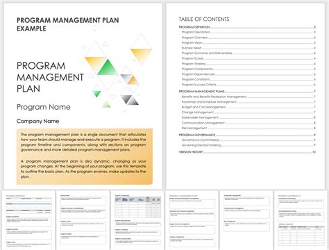 sample program plan template