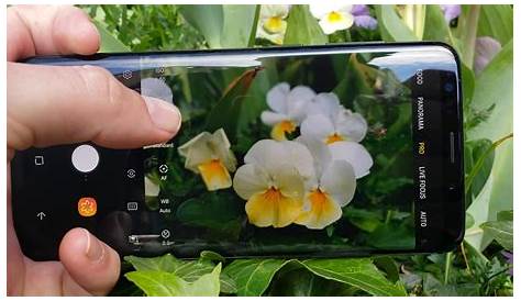Samsung Galaxy S9+ vs iPhone 8 (Camera Comparison)! YouTube