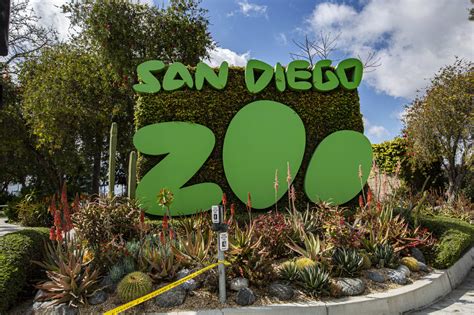 Visit the San Diego Zoo! Transportation with Lux Bus America from