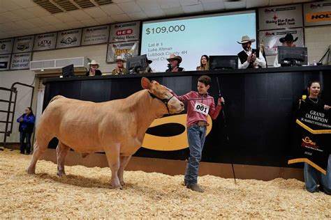 san antonio livestock auction results
