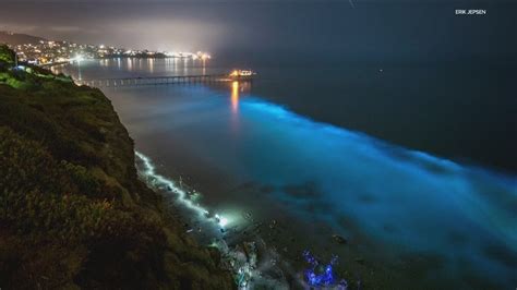 san diego bioluminescence 2023