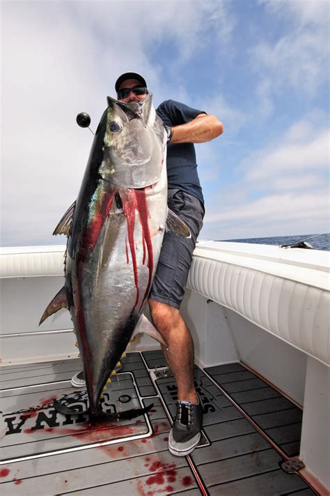 san diego offshore fish report