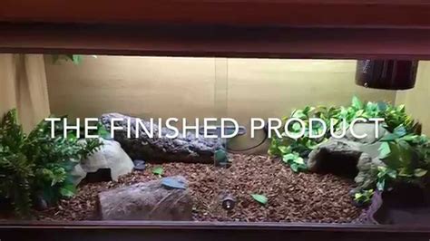 Sand Boa Tank Setup