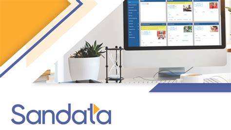 6 Common Mistakes to Avoid With Sandata Technologies Llc