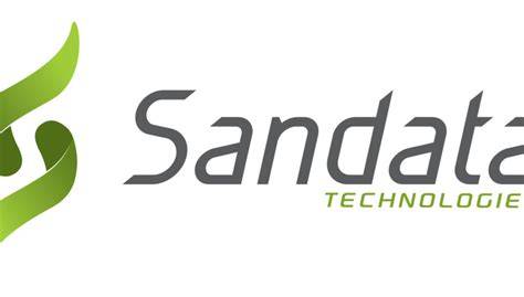 6 Common Mistakes to Avoid With Sandata Technologies Llc