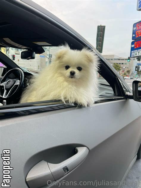 sandoval leaks julia