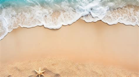 sandy beach shoreline