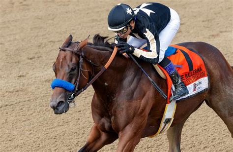 santa anita entries horse racing nation