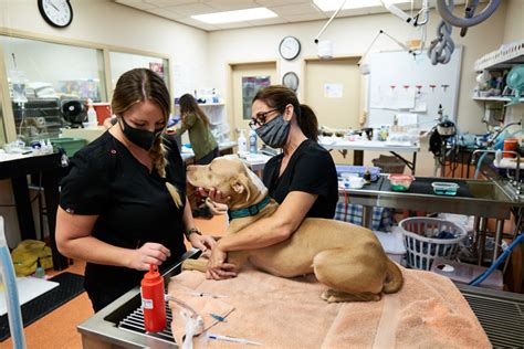 santa fe animal shelter spay neuter clinic