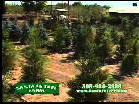 santa fe tree farm