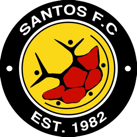 santos fc cape town