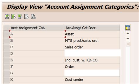 Sap Account Assignment Categories